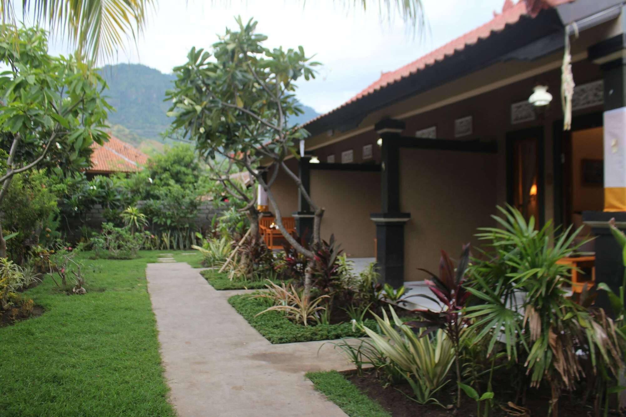 Pande Guest House Pemuteran Kültér fotó